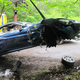 Image for article titled Jakub Voracek Smashed Up His Ferrari